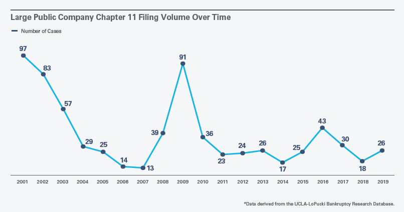 Large Public Company